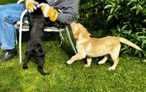 Yellow boy and black girl
